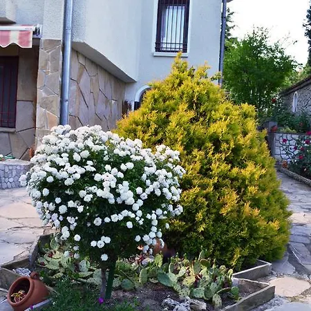 Guest house Pulpudeva Sunny Beach